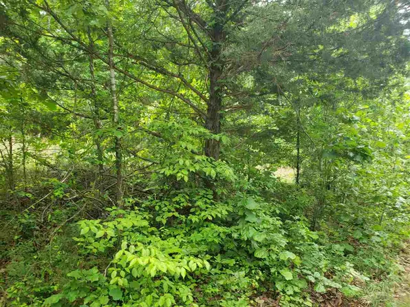 L-5-B Flathead Dr, Cherokee Village, AR 72529