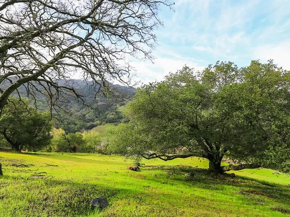 10225 Cinnabar Hills Rd, San Jose, CA 95120