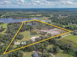 1499 Murphy Rd, Pierson, FL 32180