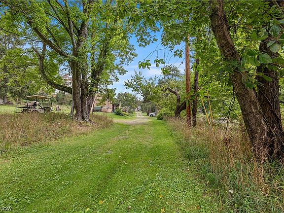5th image of Buzzard Rd