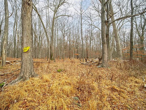 3rd image of Baker Rd