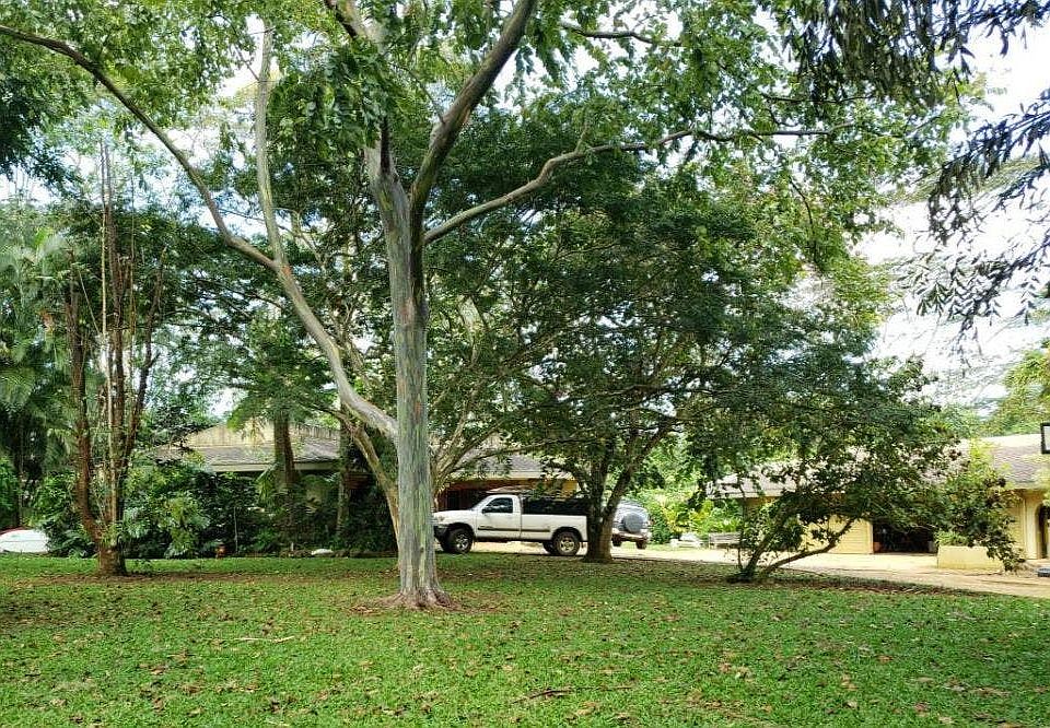 2nd image of 5-2881 Kuhio Hwy #D