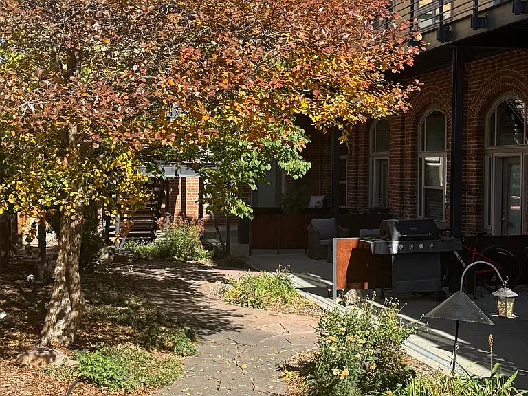 2501 Grove St #206 — Photo 12