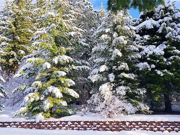 Towering evergreens surround the property making this the perfect cabin in the woods...