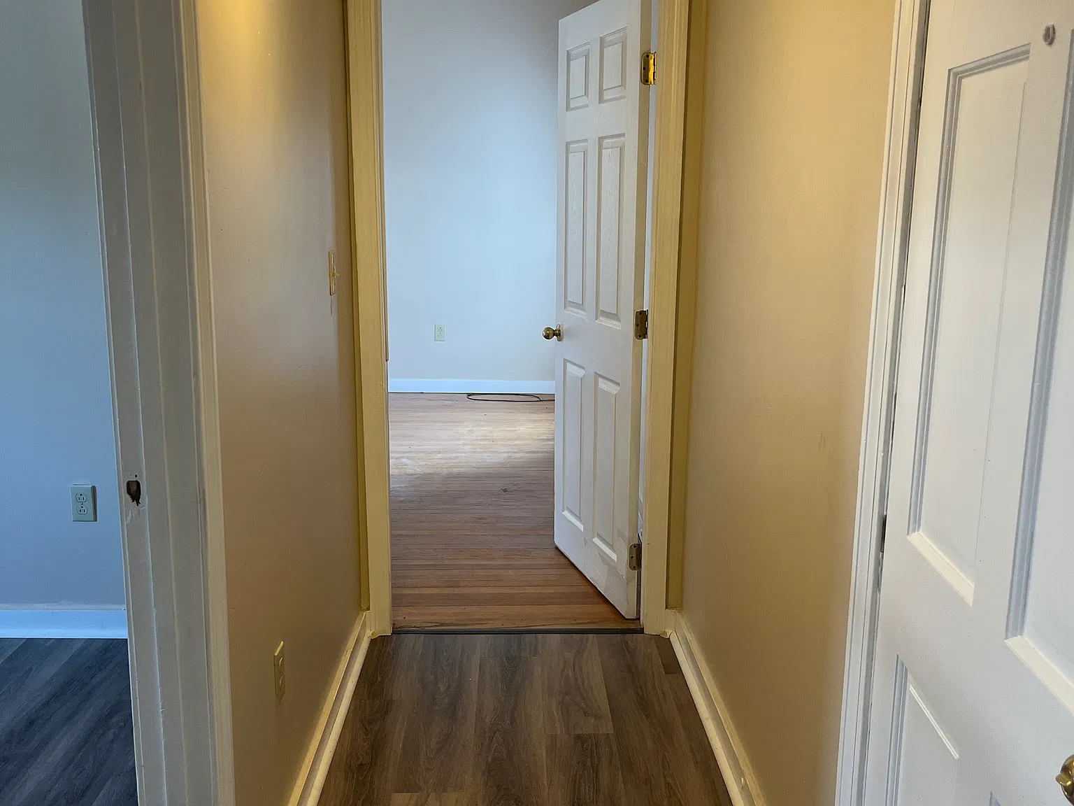 2 bed, 800 sqft, $1,425 — Photo 4