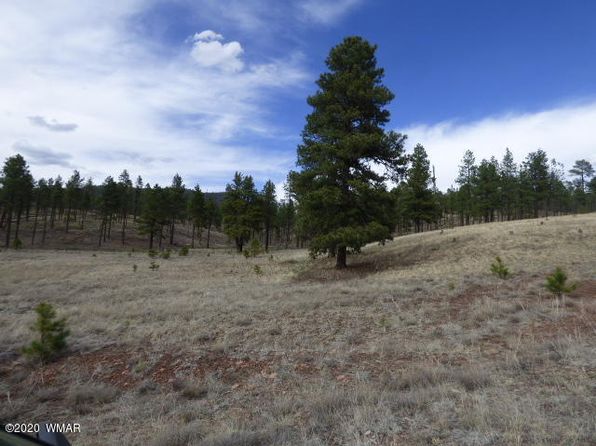 LOT-34A The Rnch #AT, Alpine, AZ 85920
