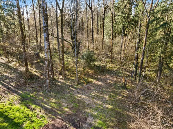 NE Sumac Ct, Brush Prairie, WA 98606