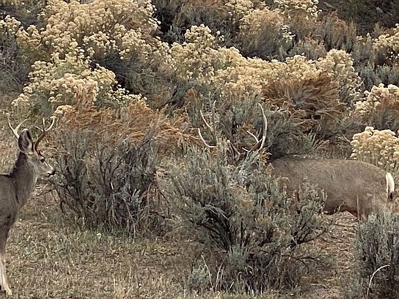 4th image of X S Rockcliff Cir Lot 9