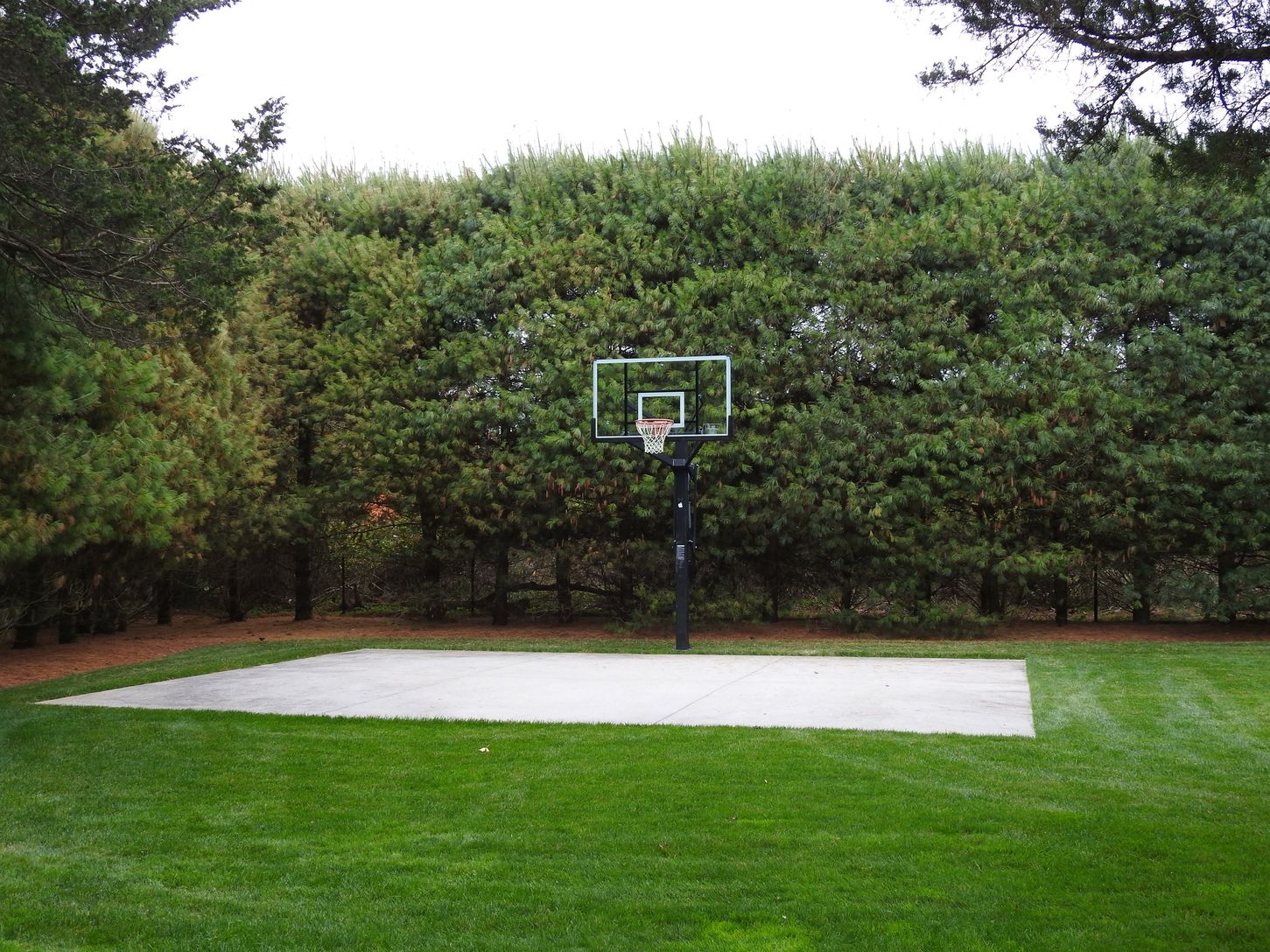 basket ball court