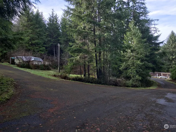 22 Elk Ridge Road, Copalis Beach, WA 98535