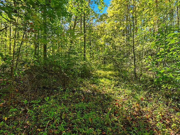 5th image of 0 Timber Lake Drive