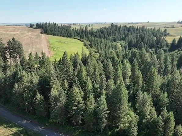 Stolte Canyon Rd, Peck, ID 83545