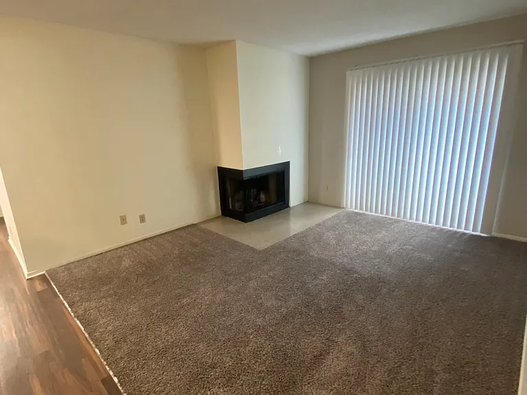 Livingroom with possible Fireplace