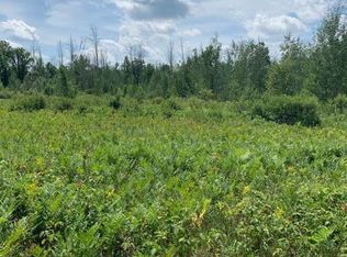 1726 E Brushaber Rd, Beaverton, MI 48612