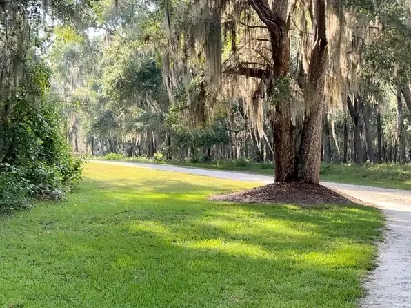 0 Wood Stork Dr, Darien, GA 31305