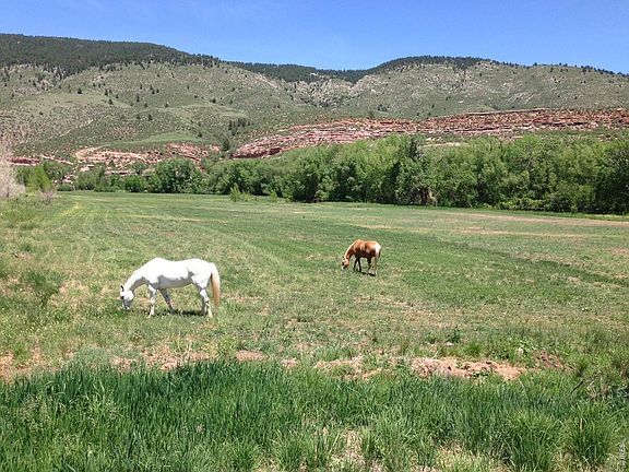3rd image of 13240 Mountain Ranch Dr