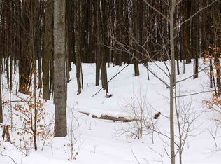 9171 Merrill Ridge Dr, Williamsburg, MI 49690