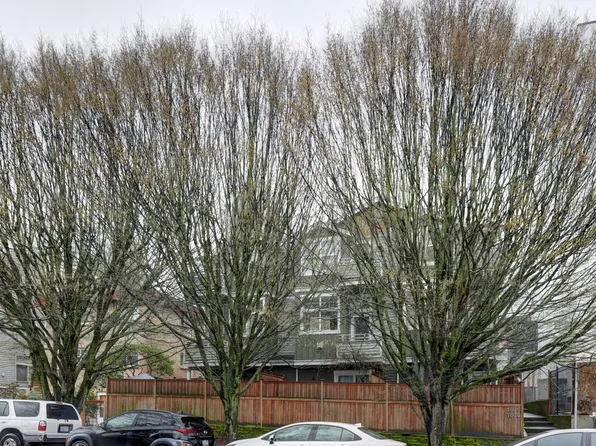 1806A 14th Ave, Seattle, WA 98122