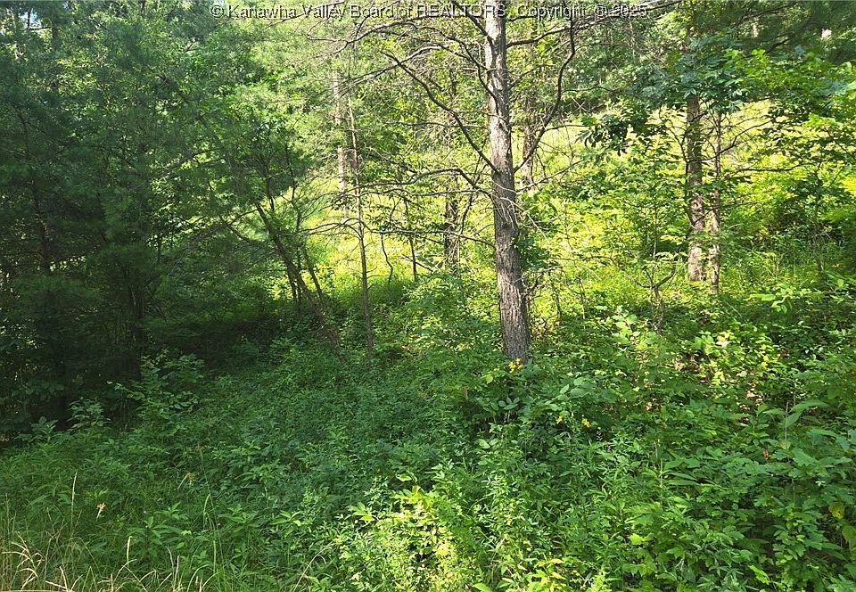 2nd image of 0 Walters Run Rd
