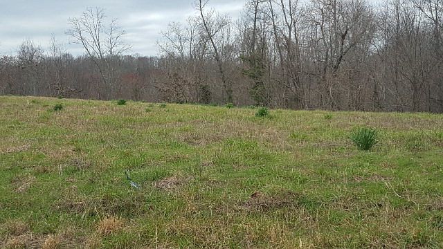 2nd image of 11397 Pete Carr Ridge Rd