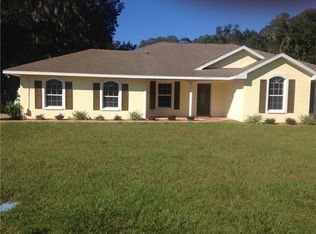 262 NE 3rd Ave, Webster, FL 33597