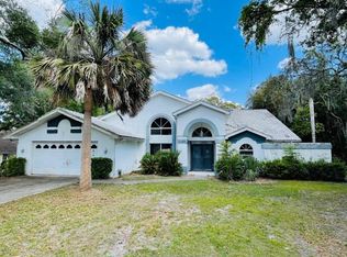 12489 Jocelyn Way, Spring Hill, FL 34609