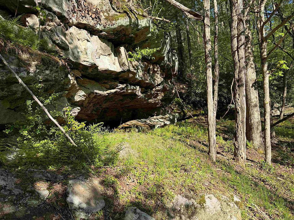 50th image of 2494 Seng Run Rd