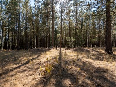 167 Grizzly Way, Portola, CA, 96122