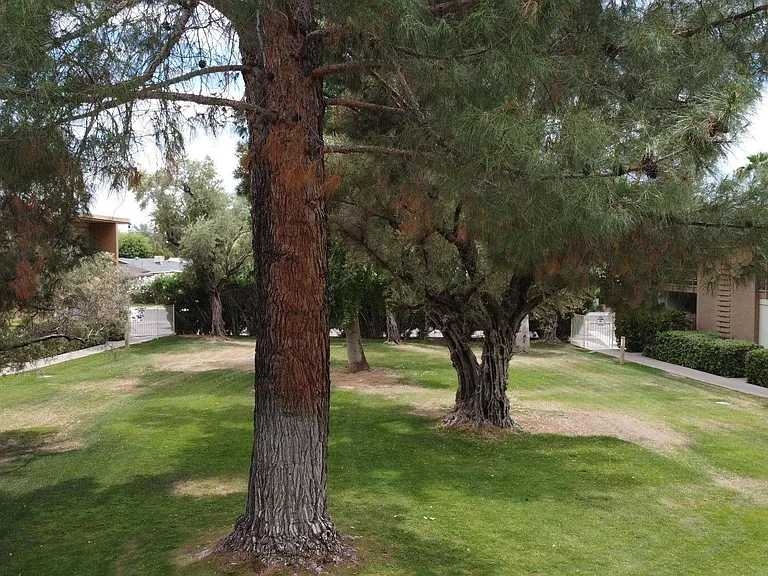 6125 E Indian School Rd #161 — Photo 18