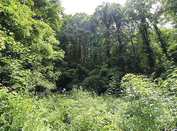 5th image of 17 Swanna View Dr