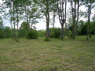 2nd image of 601 Crutcher Pike