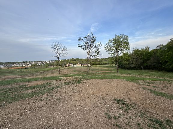3rd image of 0 Rabbit Branch Rd