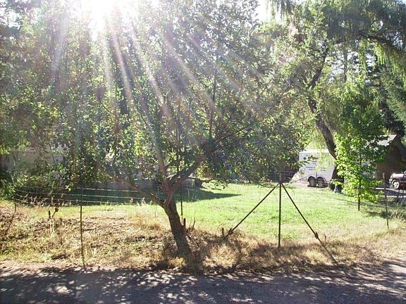 Sunbeams Through Trees
