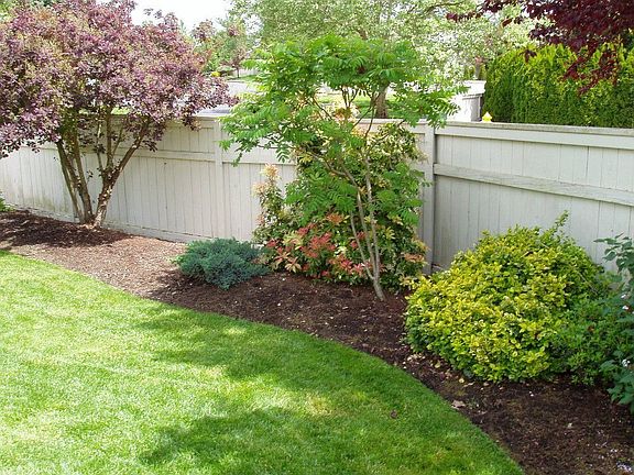 Back Yard 2