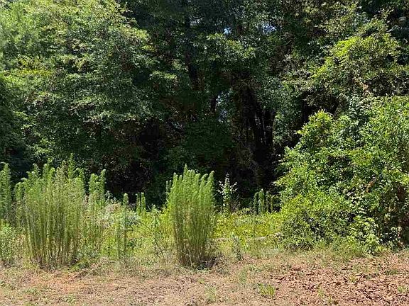 2nd image of 6739 E National Cemetery Rd