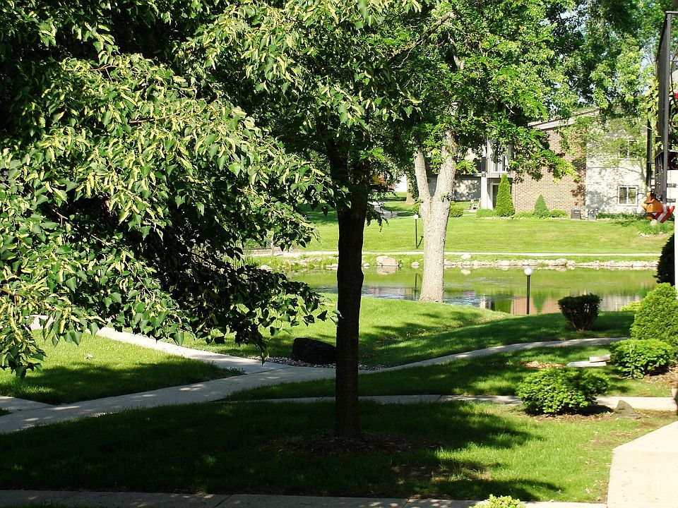 Pond View from Patio