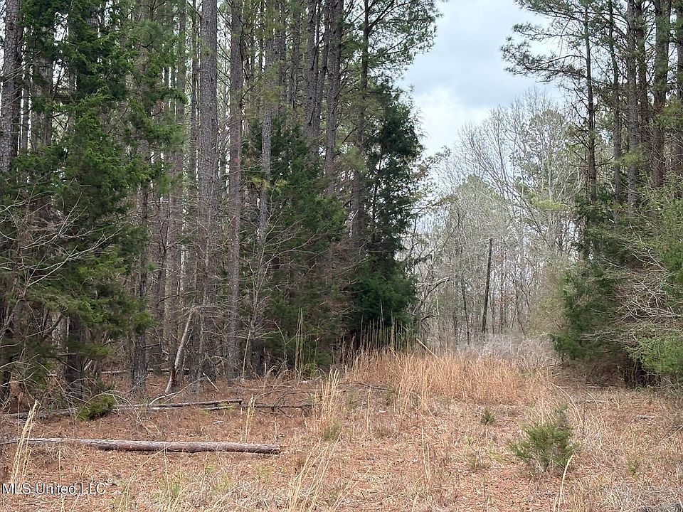 1st image of County Road 2211