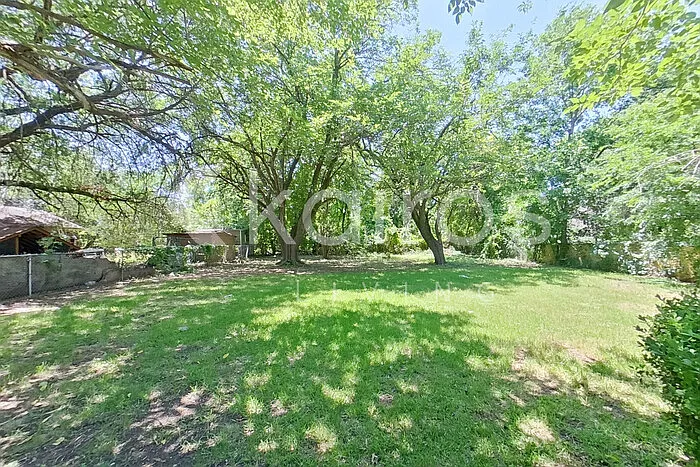 111 Evelyn St — Photo 24