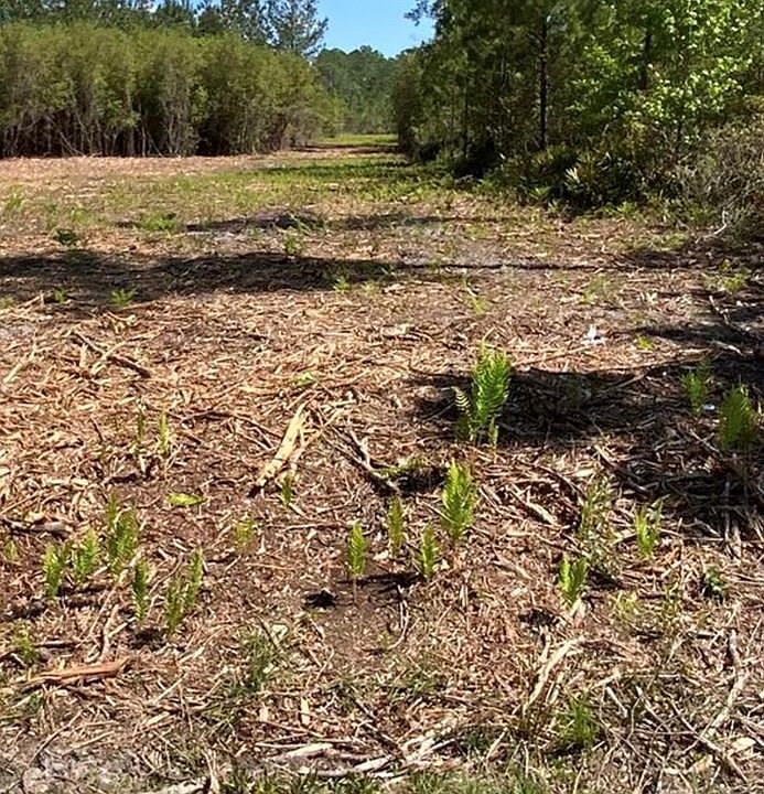 2nd image of 1 John Wells Rd