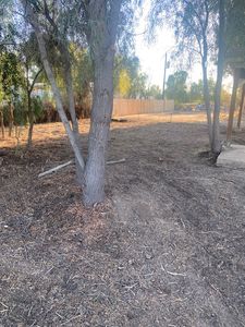 2048 E Hackamore Drive, Mohave Valley, AZ, 86440