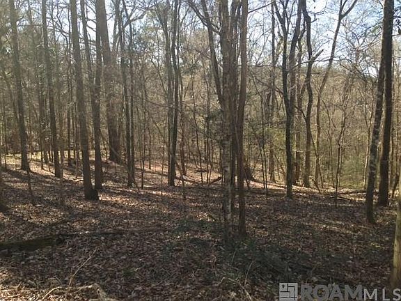 2nd image of 1862 Thompson Creek Rd