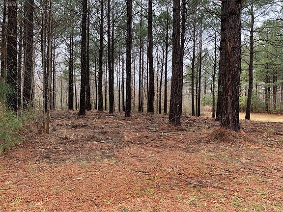 3rd image of 238 Plumtree Cir