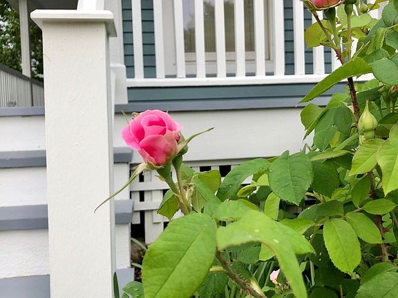 4th image of 1541 Amos Bennet St