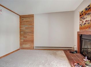 101 Forest Dr APT A, Frisco, CO 80443