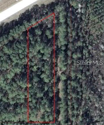 3rd image of W Intl Speedway Blvd