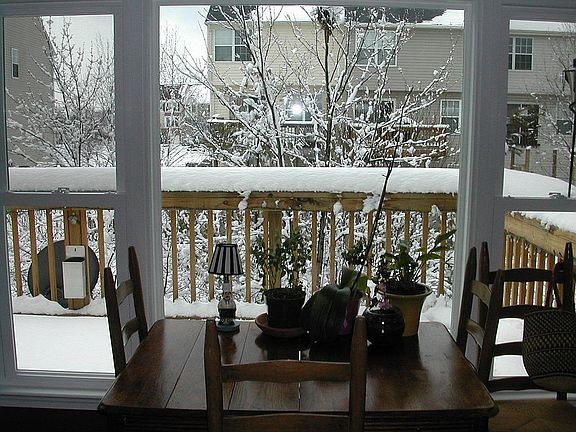 view from kitchen windows