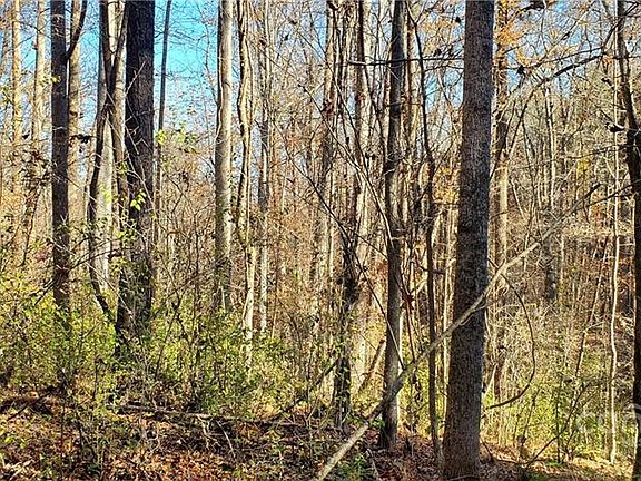 5th image of Catawba Cove Dr