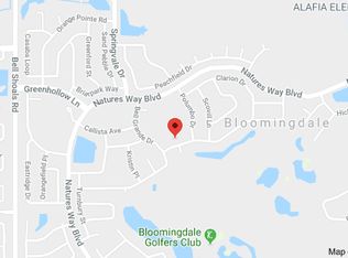 1306 Holleman Dr, Valrico, FL 33596