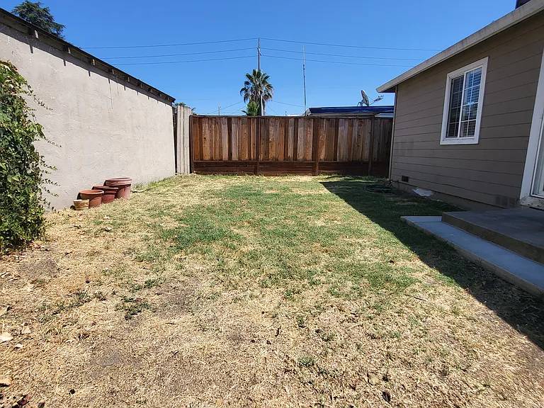 Backyard