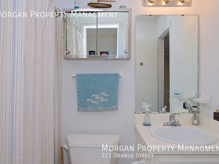 223 Orange St — Photo 10